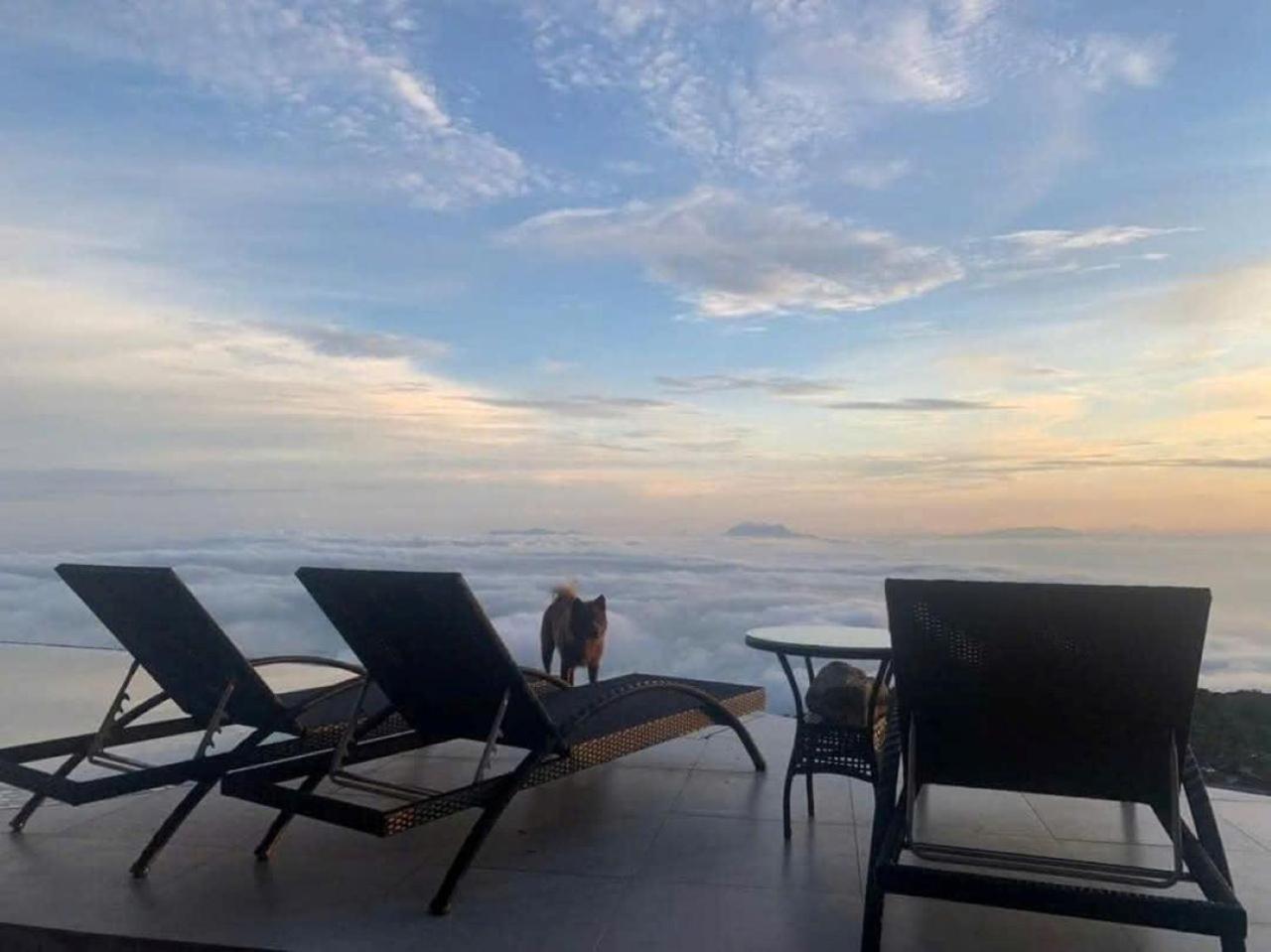 Chuon Chuon Villa Homestay Tam Ðảo Buitenkant foto